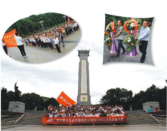 武汉亚星游戏药业2017红色教育夏令营活动