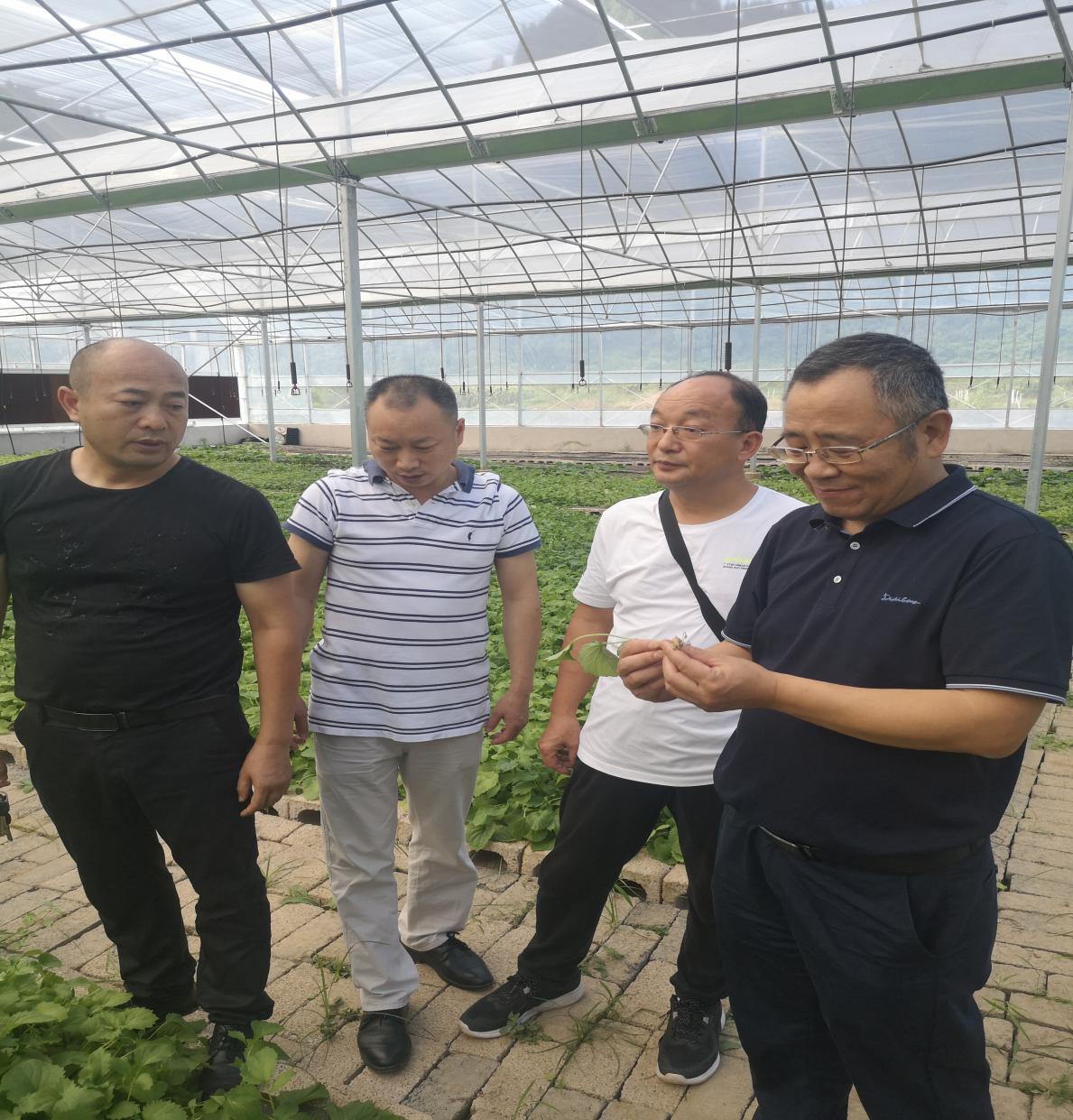 中国·亚星游戏(集团)有限公司-官方网站